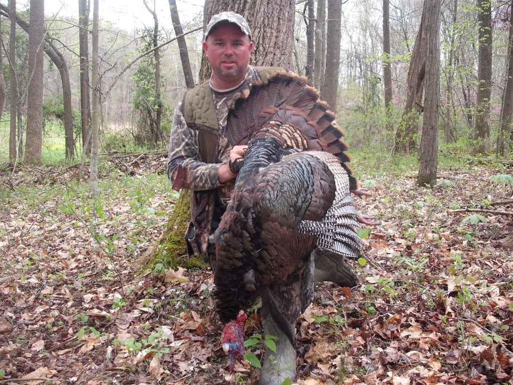 2012Turkeyseason002.jpg