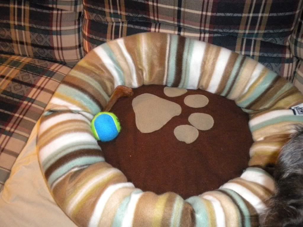 Pet Beds at CVS! Puppy Forum and Dog Forums
