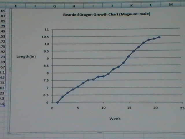Dragon Growth Chart
