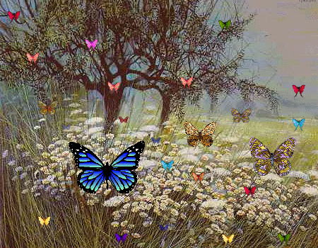 butterfliesfrmmartha.gif picture by CajunAngelEyez