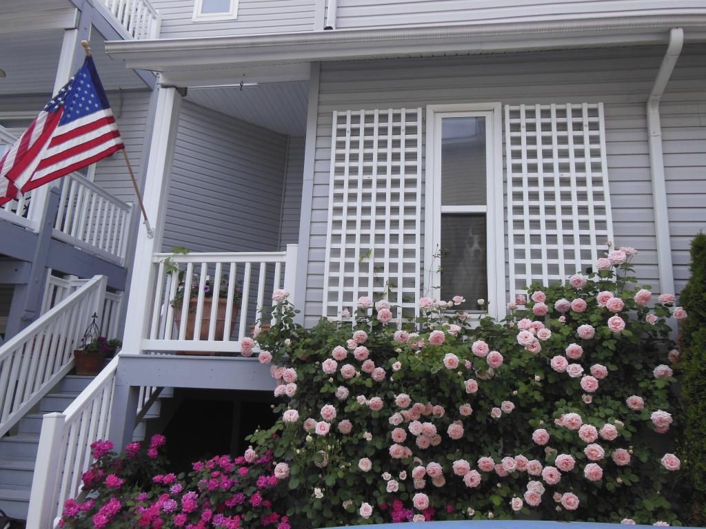  photo DSCN1590_zpsa2e8fc9e.jpg