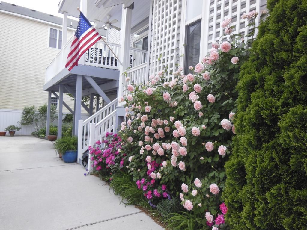  photo DSCN1592_zps4d87f702.jpg