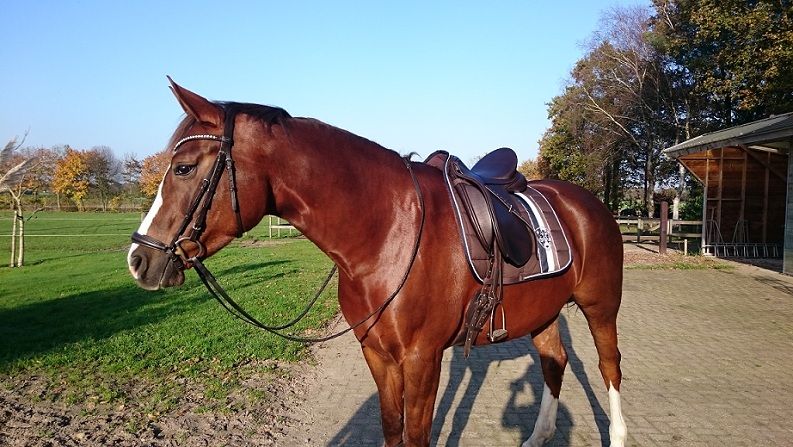 Afbeelding