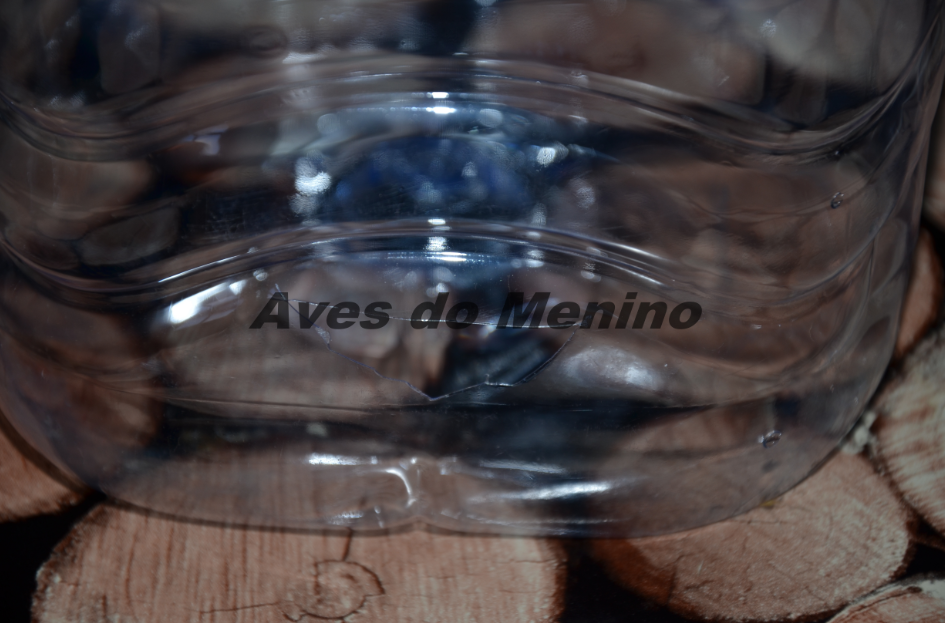 photo 2168484_zps19a36248.png