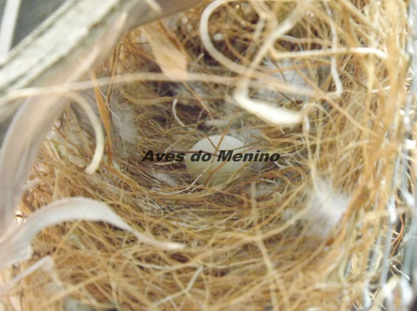 photo 25578468_zps4f799b9a.png