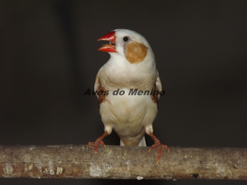 photo 2_zpse8186e38.png