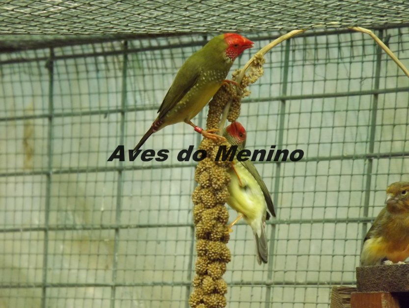 photo 325168685_zpscd570c73.png