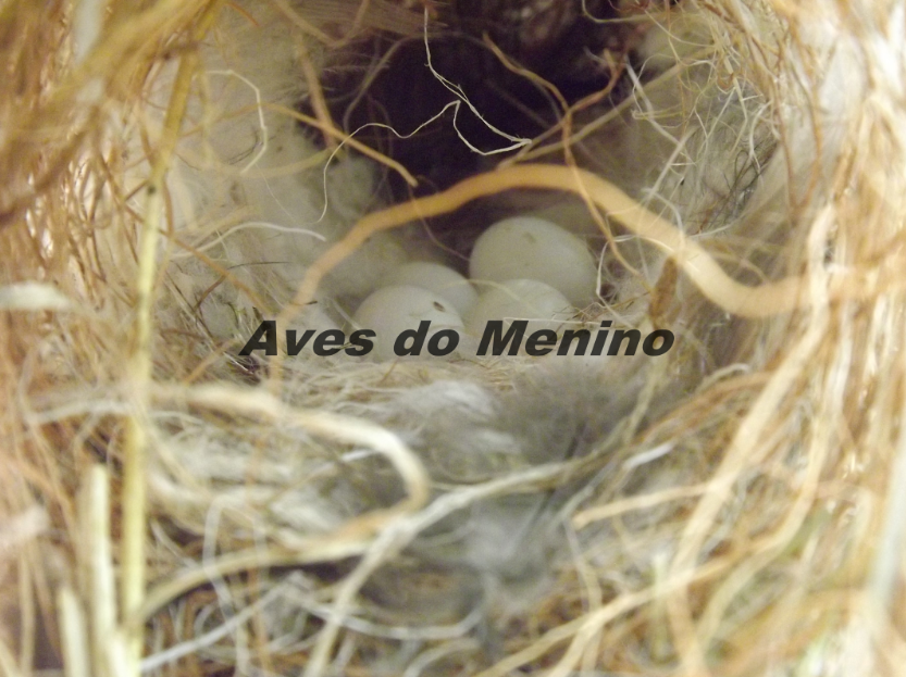 photo 351647885_zps1e9d105f.png