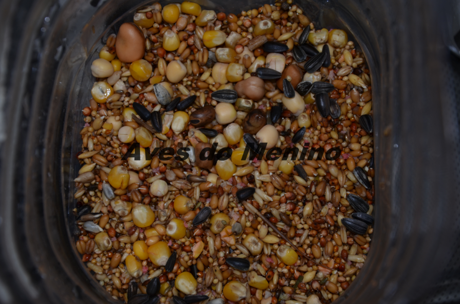 photo 3516845_zps263e04f1.png