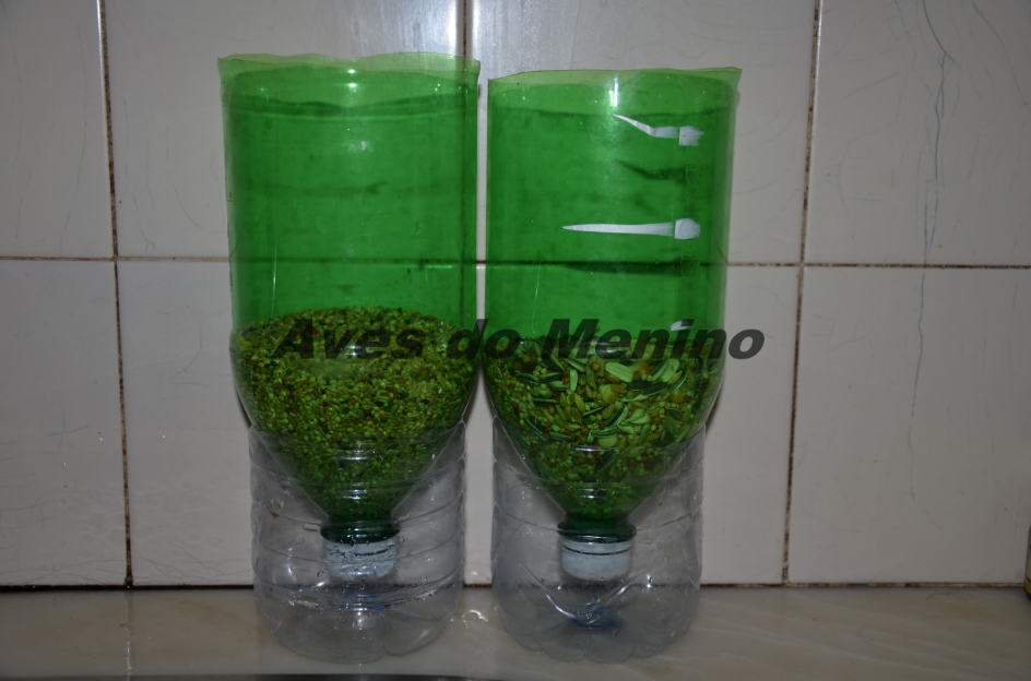 photo 3518552_zpsa145bd03.png