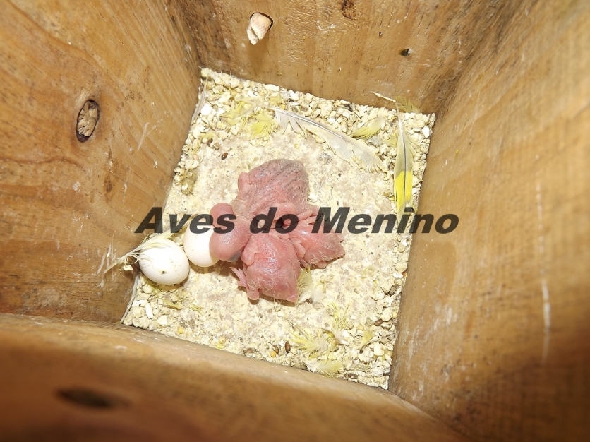 photo 354152_zpse7b98f65.png