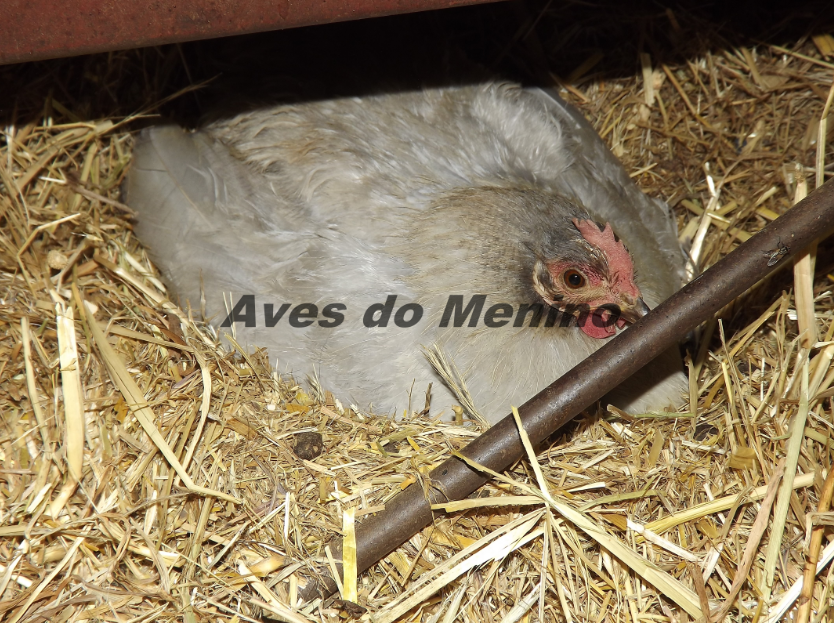 photo 356485_zpsa8e3a07d.png