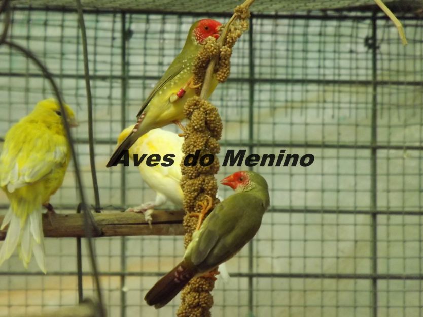 photo 3584683_zps859c48d0.png
