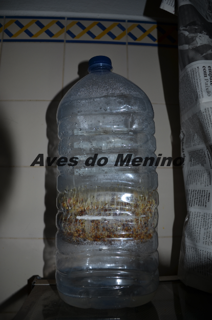 photo 3_zps53ecbadf.png