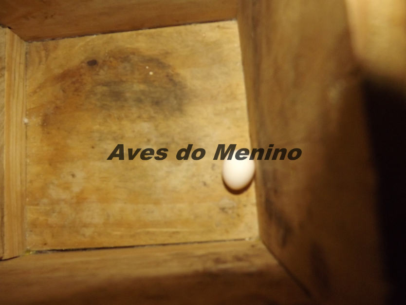 photo 516896_zps6be0a4ed.png
