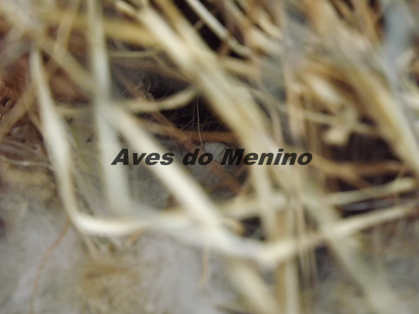 photo 6351686_zps95921e94.png