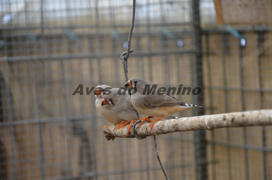 photo 6516541_zpsab203a16.png