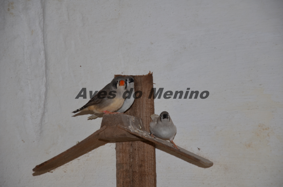 photo 651655865_zps0a61b999.png