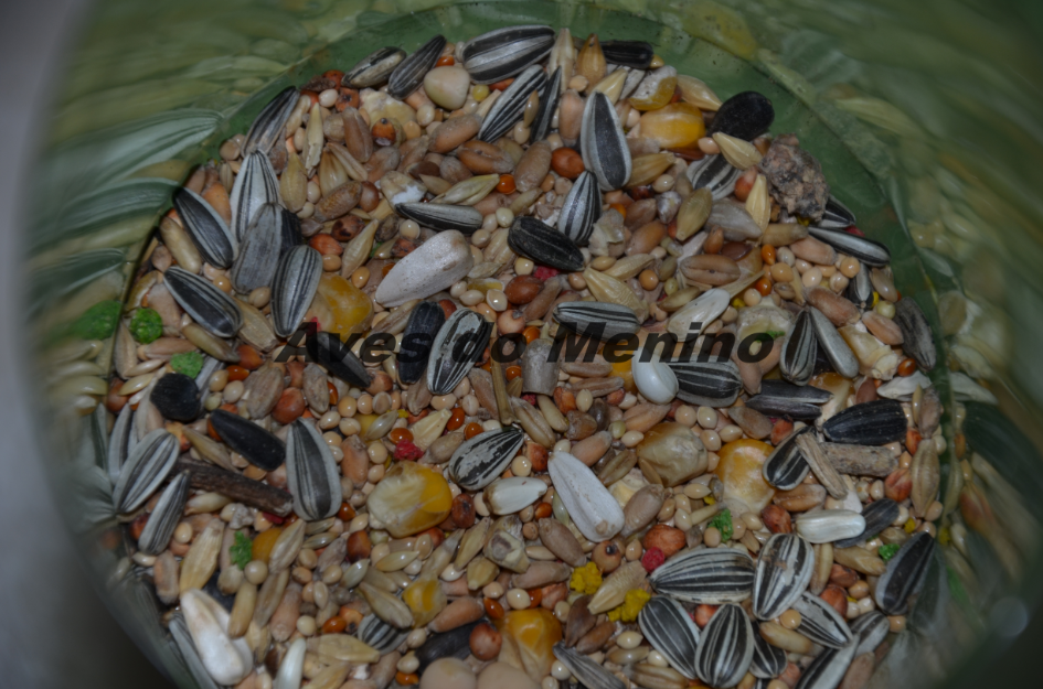 photo 6516852_zps2ce29f70.png