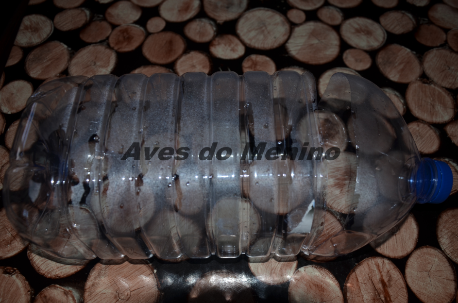 photo 6516895_zpsfa744709.png