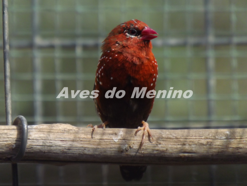 photo 6516896_zpse7941e72.png