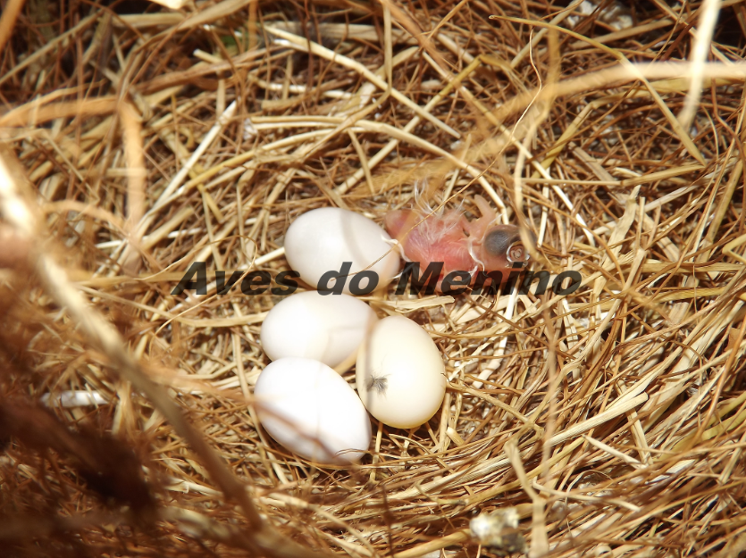 photo 6546852_zps6a3af0b7.png