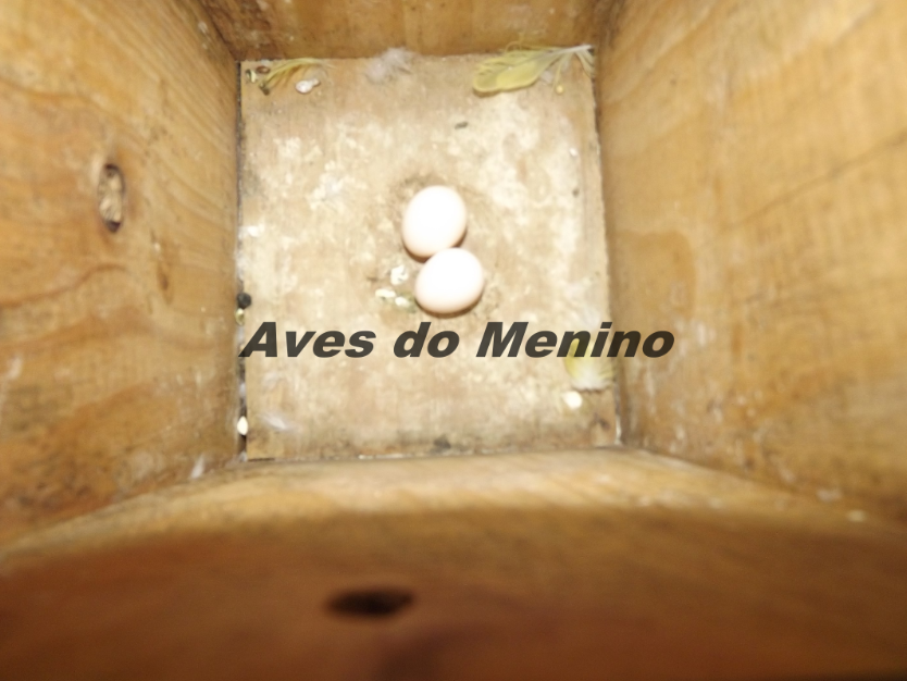 photo 6584168_zpsa3047cf8.png