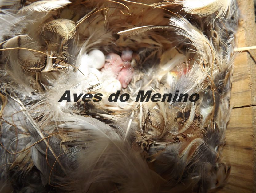 photo 6584685_zps3ddf09f8.png