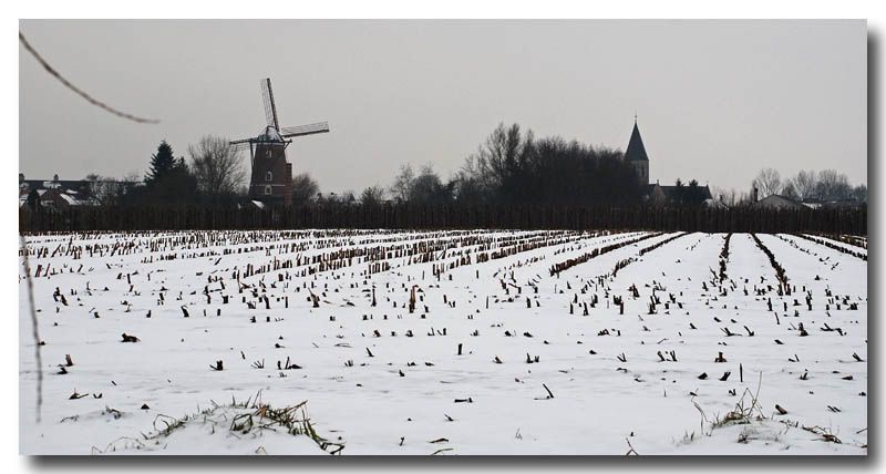 winter,Sint-Pauwels