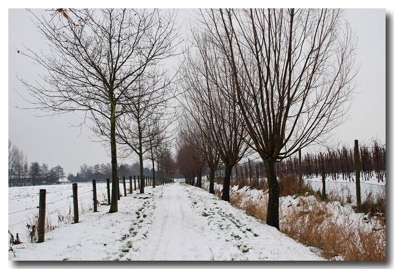 winter,Sint-Pauwels