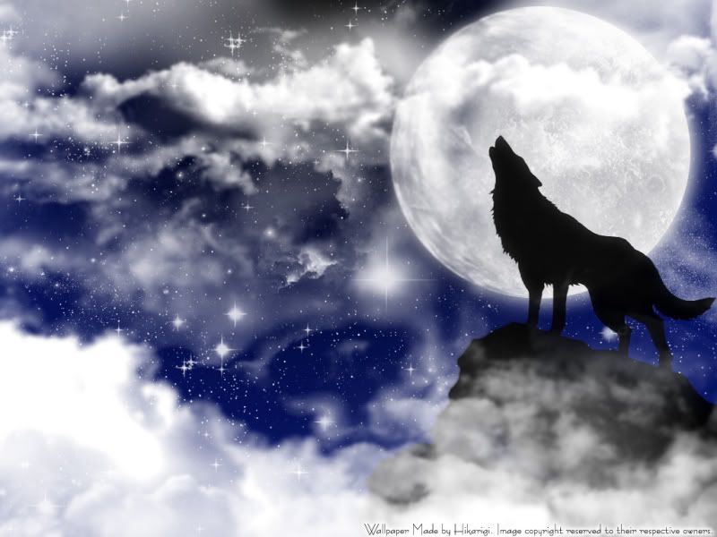 anime wolf wallpaper. Wolf