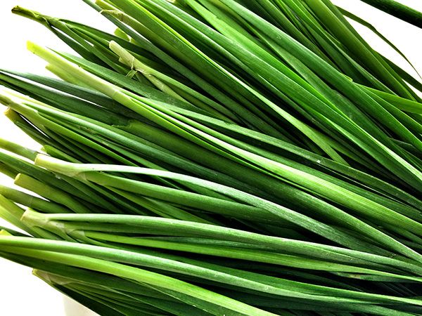 Thực Phẩm Bà Mập - Cung Cấp Kim Chi, Sữa Bắp, Sữa Tươi Chất Lượng- Hoàn Toàn Tự Nhiên - 8