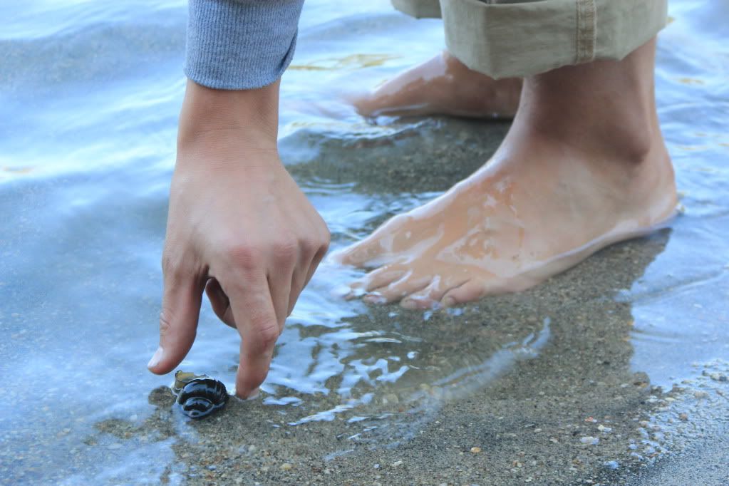 IMAGE: http://i748.photobucket.com/albums/xx127/cyanrolemann/Romanpickingupshell.jpg