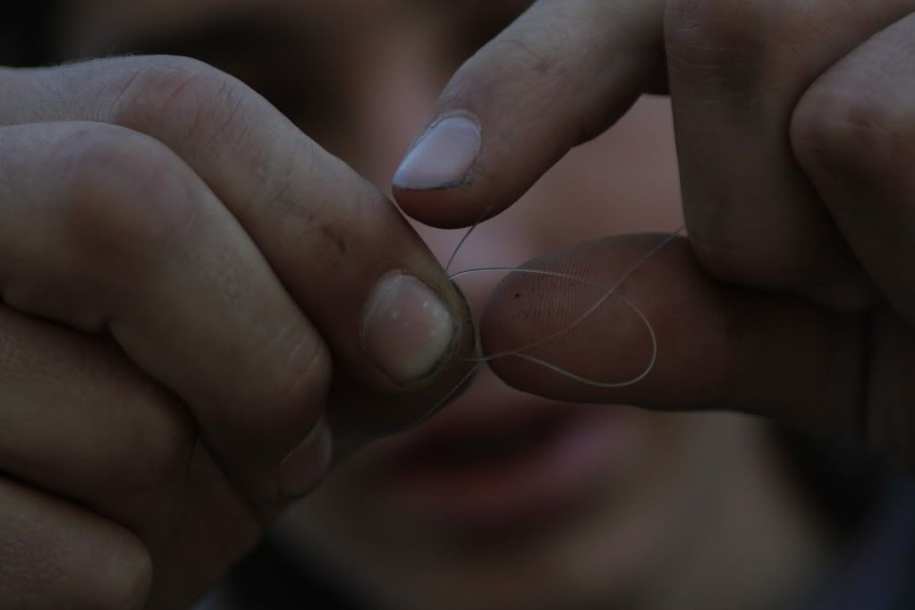 IMAGE: http://i748.photobucket.com/albums/xx127/cyanrolemann/romanshands.jpg