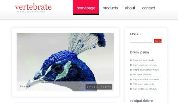 Free CSS Red White Jquery Website Template High Quality Design From 