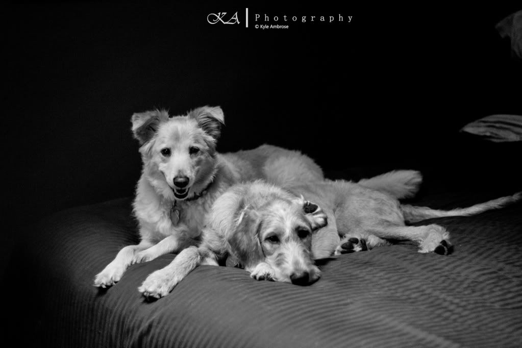 IMAGE: http://i748.photobucket.com/albums/xx130/Kyle_Ambrose/IMG_3761-1.jpg