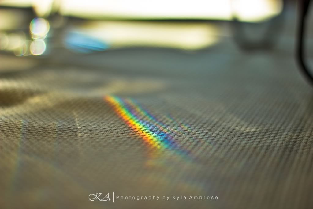 IMAGE: http://i748.photobucket.com/albums/xx130/Kyle_Ambrose/IMG_4284.jpg