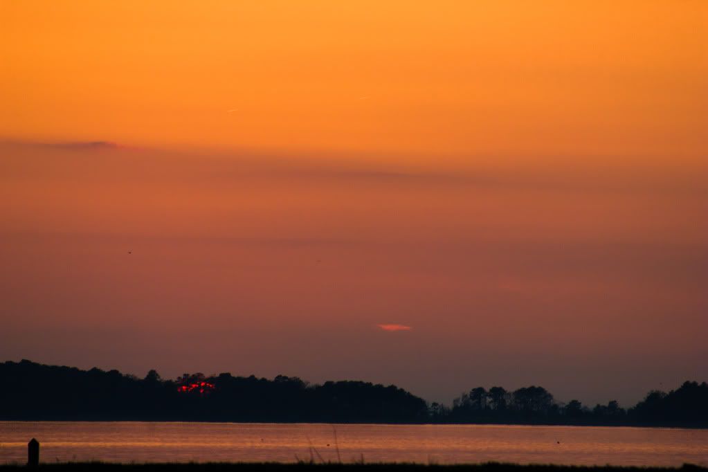 IMAGE: http://i748.photobucket.com/albums/xx130/Kyle_Ambrose/IMG_4714.jpg