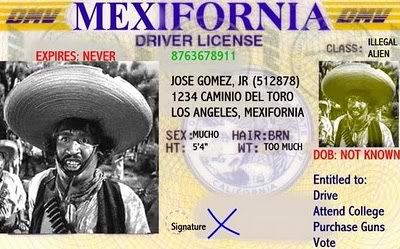 illegals