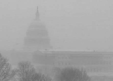 blizzard dc