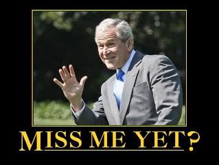 bush