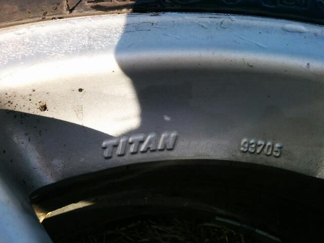 Pilt