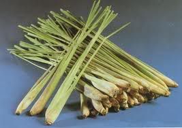 Lemongrass
